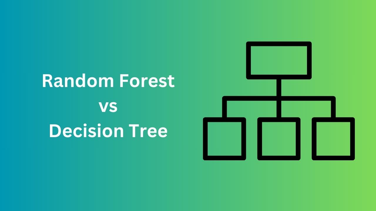 key-differences-between-random-forest-and-decision-trees